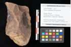 Foto (Objekt + Etikett) von Quercus palaeoilex Ettingshausen (NHMW-GEO-2024-0188-0805)